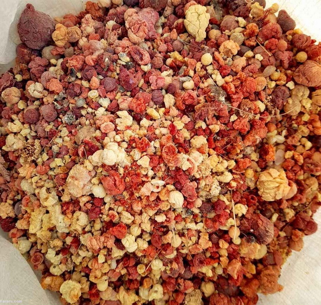 صمغ انزروت (۵۰گرم)